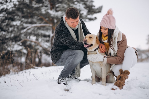 Família, andar, em, inverno, parque, com, seu, cão