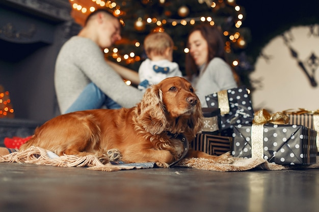 Família com cachorro fofo em casa perto da árvore de natal