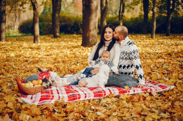 Família, com, filho, em, um, outono, parque