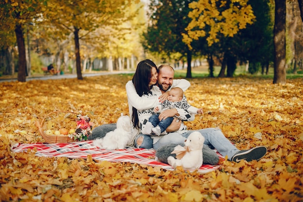 Família, com, filho, em, um, outono, parque