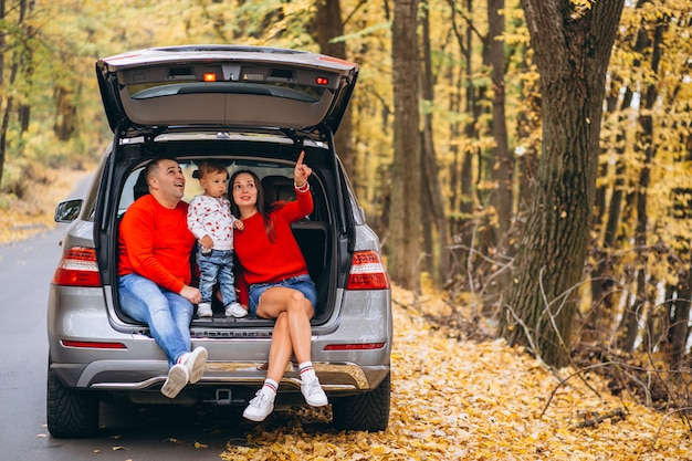 Família, com, um, filho pequeno, em, outono, parque, sentando carro