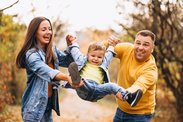 Família, com, um, filho pequeno, em, outono, parque