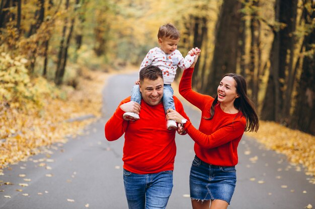 Família, com, um, filho pequeno, em, outono, parque