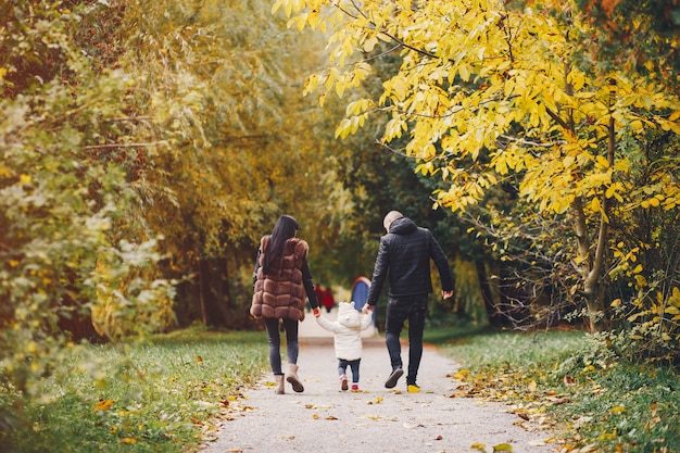 Família, em, um, outono, parque