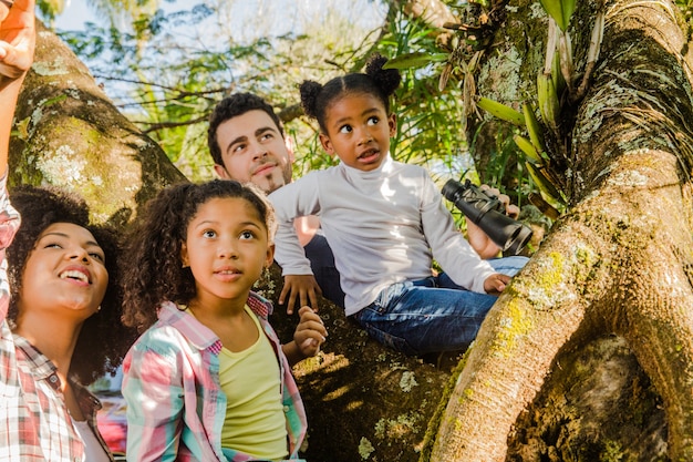 Foto grátis família em uma árvore