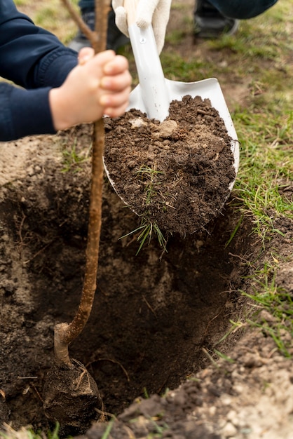 Família plantando juntos ao ar livre