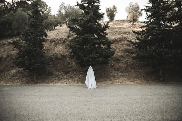 Foto grátis fantasma sombrio em pé na estrada rural