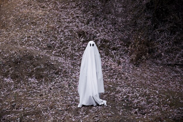 Fantasma sombrio em pé no chão na floresta
