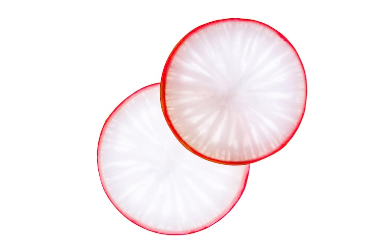 Foto grátis fatias de rabanete isoladas em branco. sloe-up. copiar espaço