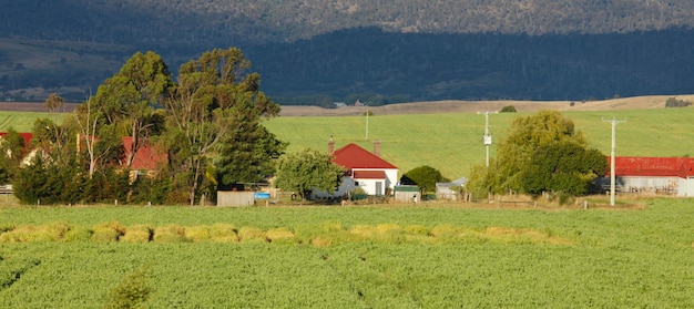 Fazenda e árvores