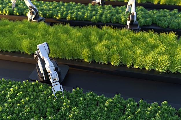Fazendeiros robóticos inteligentes fazendeiros robóticos tecnologia agrícola automação agrícola