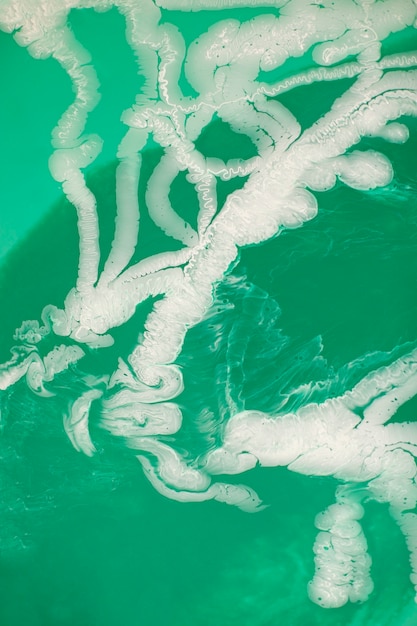 Fechar a textura de jade verde