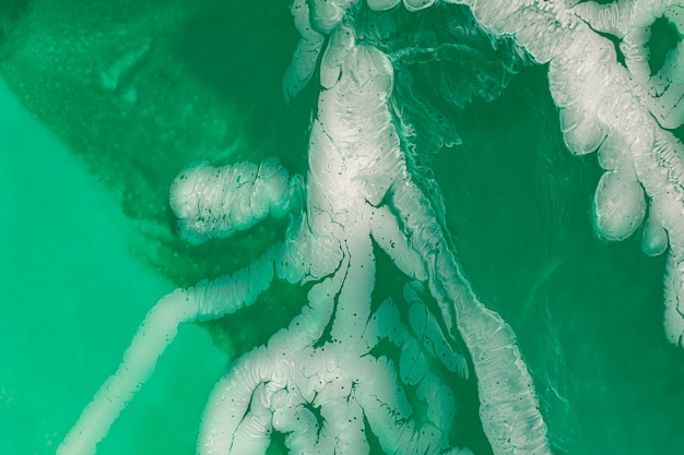 Fechar a textura de jade verde