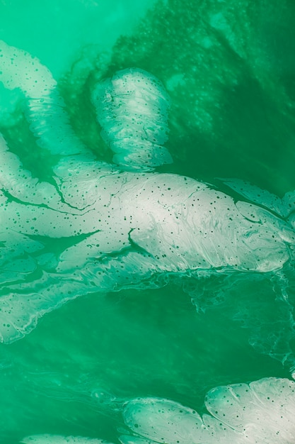 Fechar a textura de jade verde