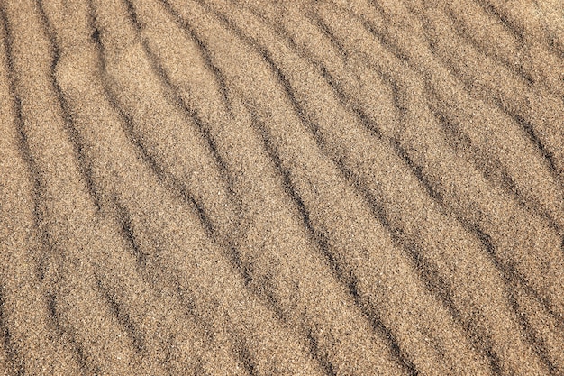 Fechar o detalhe da textura do solo