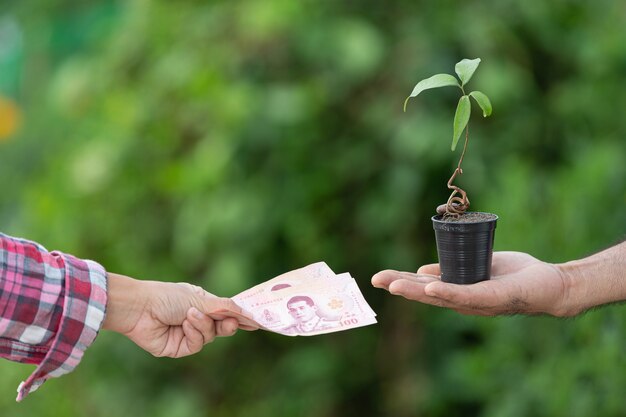 Feche a imagem de troca de dinheiro com plantas entre o cliente e o vendedor