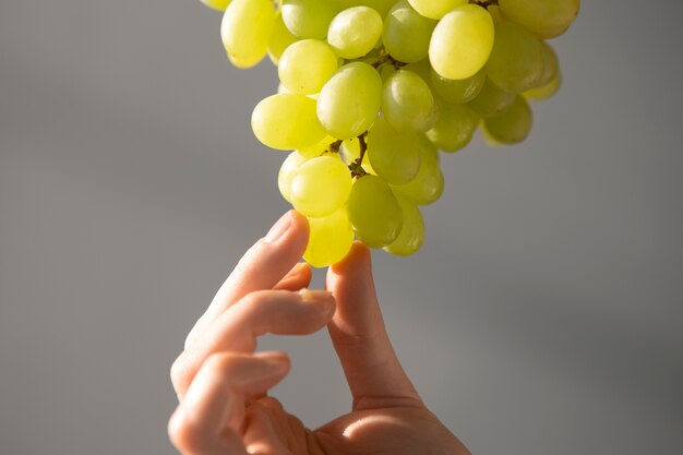 Feche a mão segurando uvas verdes para o verão