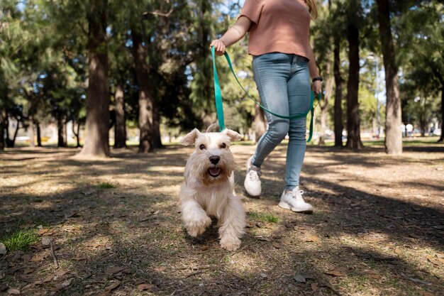 Feche o dono e o cachorro ao ar livre