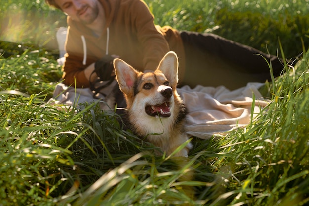 Feche o homem com o cachorro na natureza