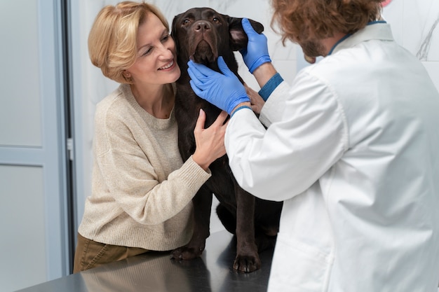 Feche o médico verificando o cachorro fofo