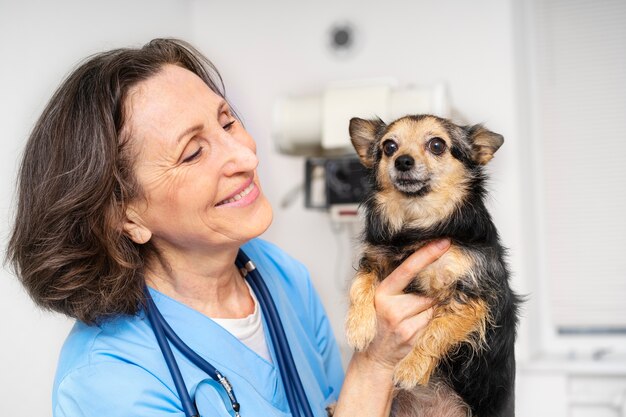 Feche o médico veterinário cuidando do animal de estimação