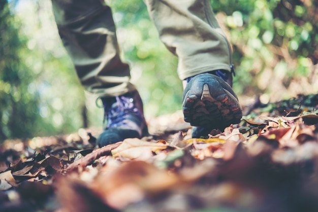 Feche os pés da mulher da aventura andando no caminho da montanha.