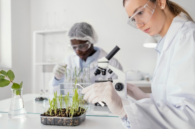 Feche os pesquisadores no laboratório