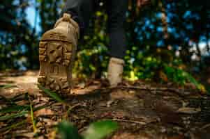 Foto grátis feche os sapatos do caminhante andando na trilha da floresta com espaço de cópia da luz solar