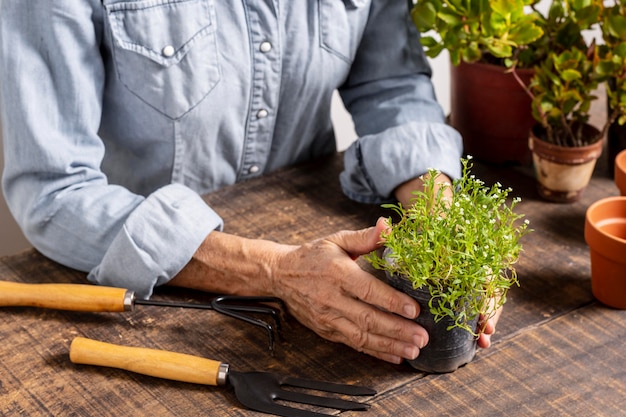 Foto grátis feche plantando flores em vaso