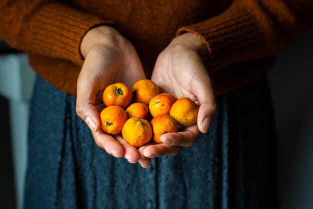 Fêmea irreconhecível segurando alguns frutos de tejocotes