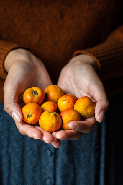 Foto grátis fêmea irreconhecível segurando alguns frutos tejocotes