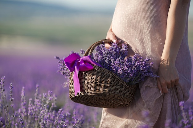 fêmea no campo de lavanda