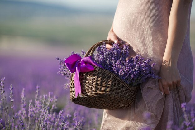 fêmea no campo de lavanda