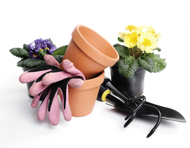 Ferramentas de jardinagem e vaso de flores isoladas