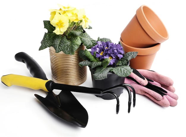 Foto grátis ferramentas de jardinagem e vaso de flores isoladas