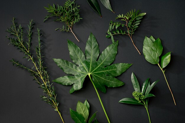 Foto grátis ferramentas e acessórios que os floristas precisam para fazer um buquê