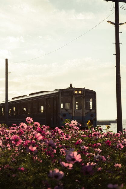 Ferrovia de trem