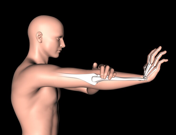 Foto grátis figura médica masculina 3d com os ossos do braço destacados
