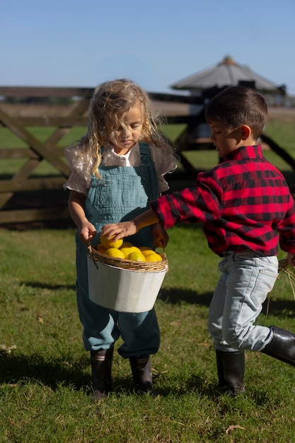 Filhos completos com frutas