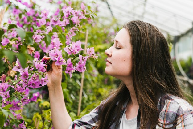 Fim, cima, mulher, cheirando, flores