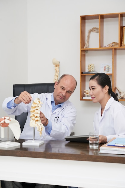 Fisioterapeuta explicando a estrutura da coluna vertebral ao estagiário usando o modelo 3D