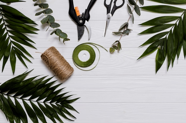 Foto grátis fita, corda e plantas