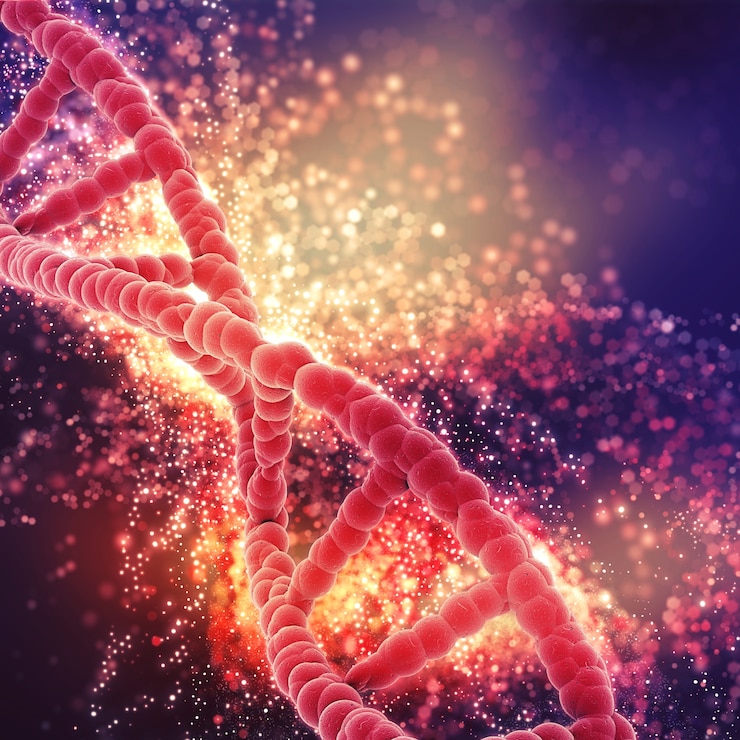 Foto grátis fita de dna red