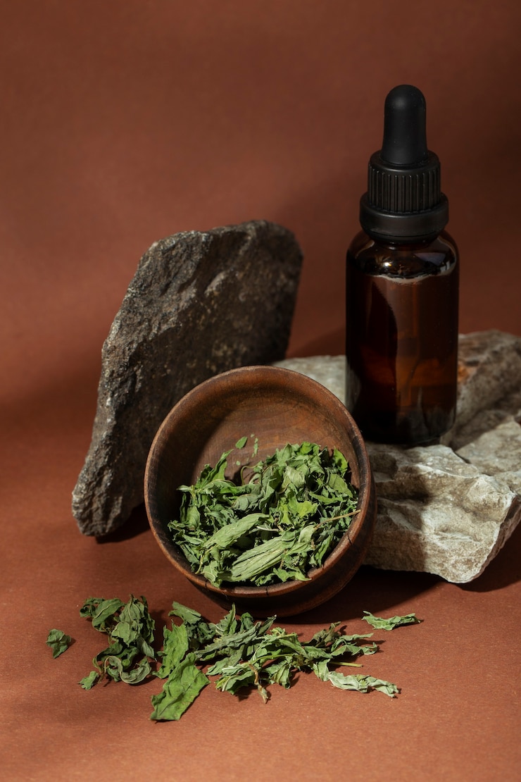 Foto grátis fitoterapia de alto ângulo com variedade de plantas