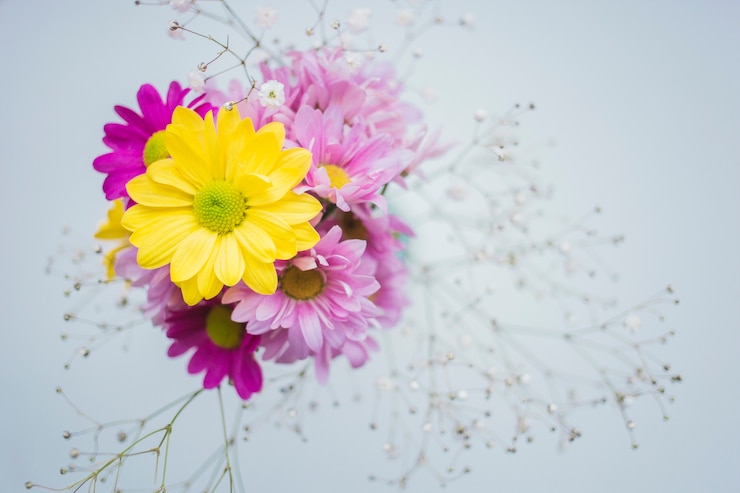 Foto grátis flor amarela bonita com flores roxas