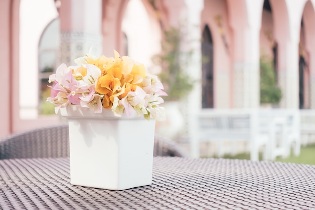 Flor de buganvílias em vaso