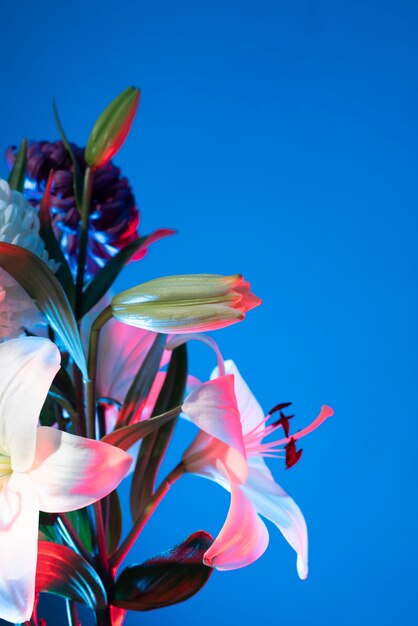 Flor de orquídea e flor de crisântemo contra um fundo azul