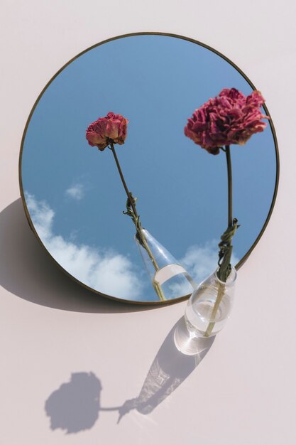 Flor de peônia rosa seca em um vaso transparente refletida em um espelho