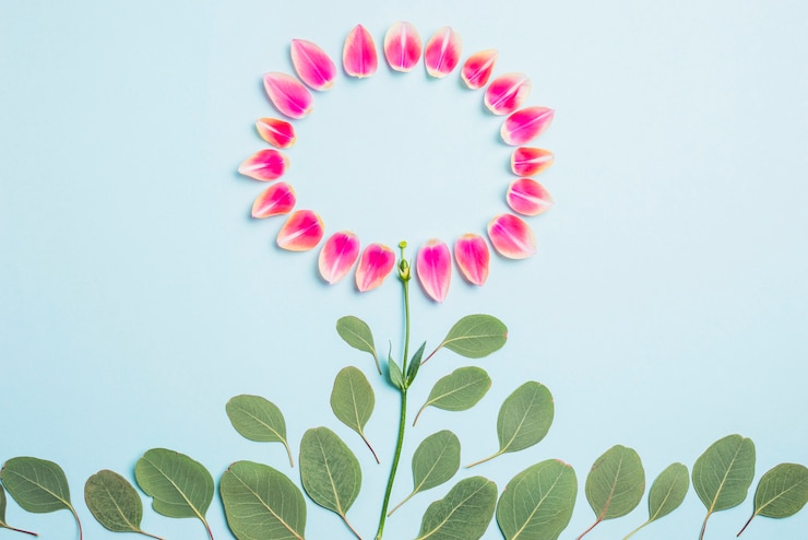 Foto grátis flor de pétalas e folhas