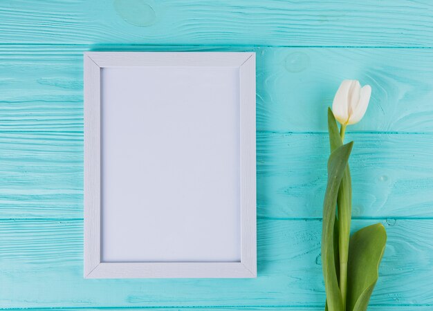 Flor de tulipa com moldura em branco na mesa